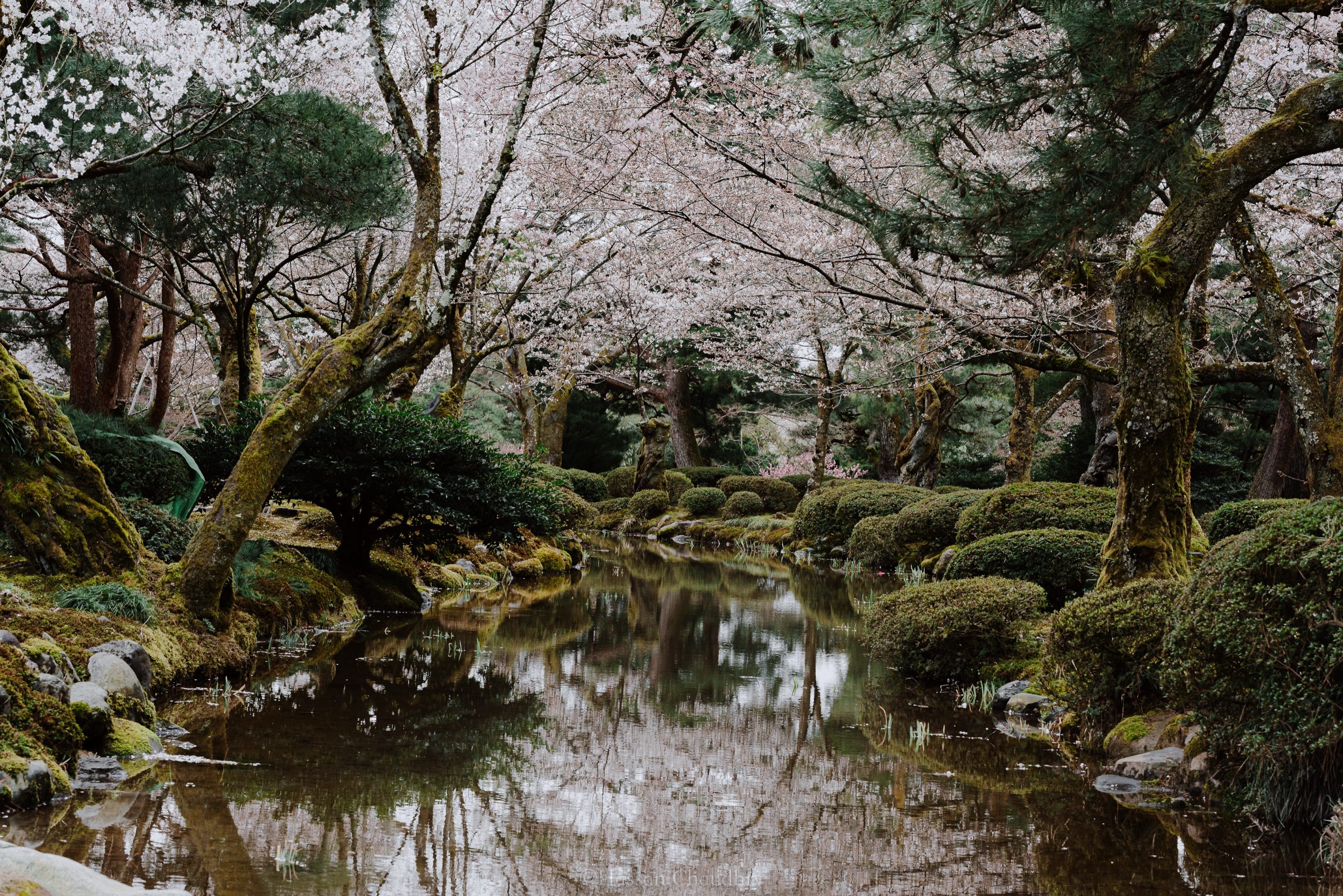 Flora & Fauna — 14