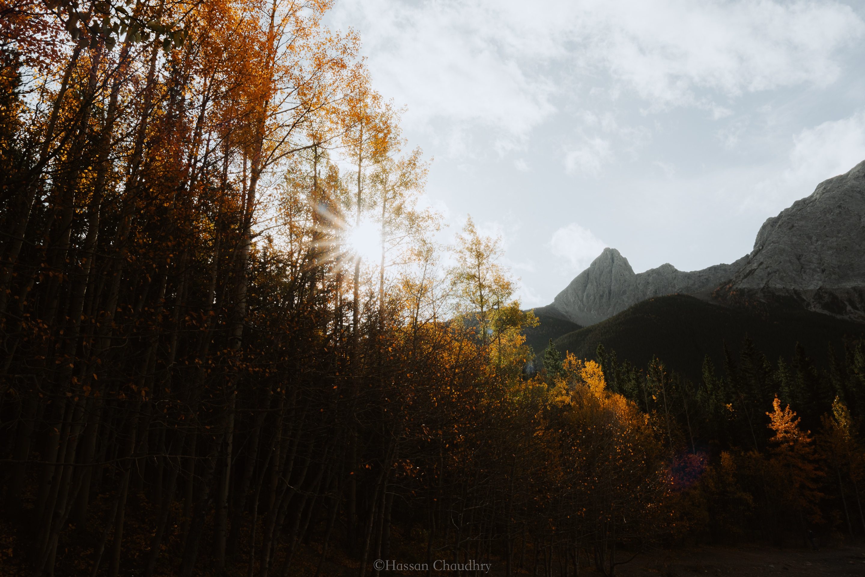 Landscapes — 4