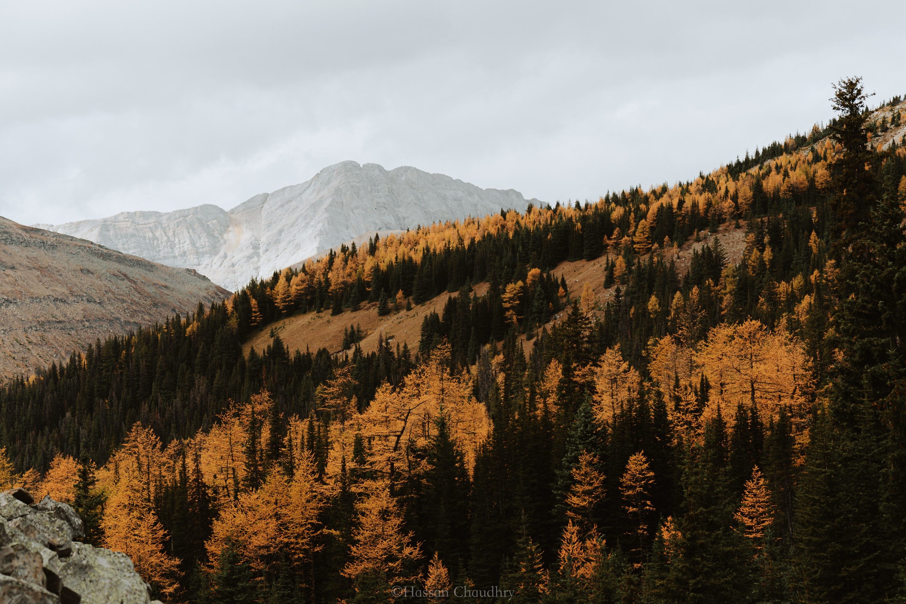 Landscapes — 9