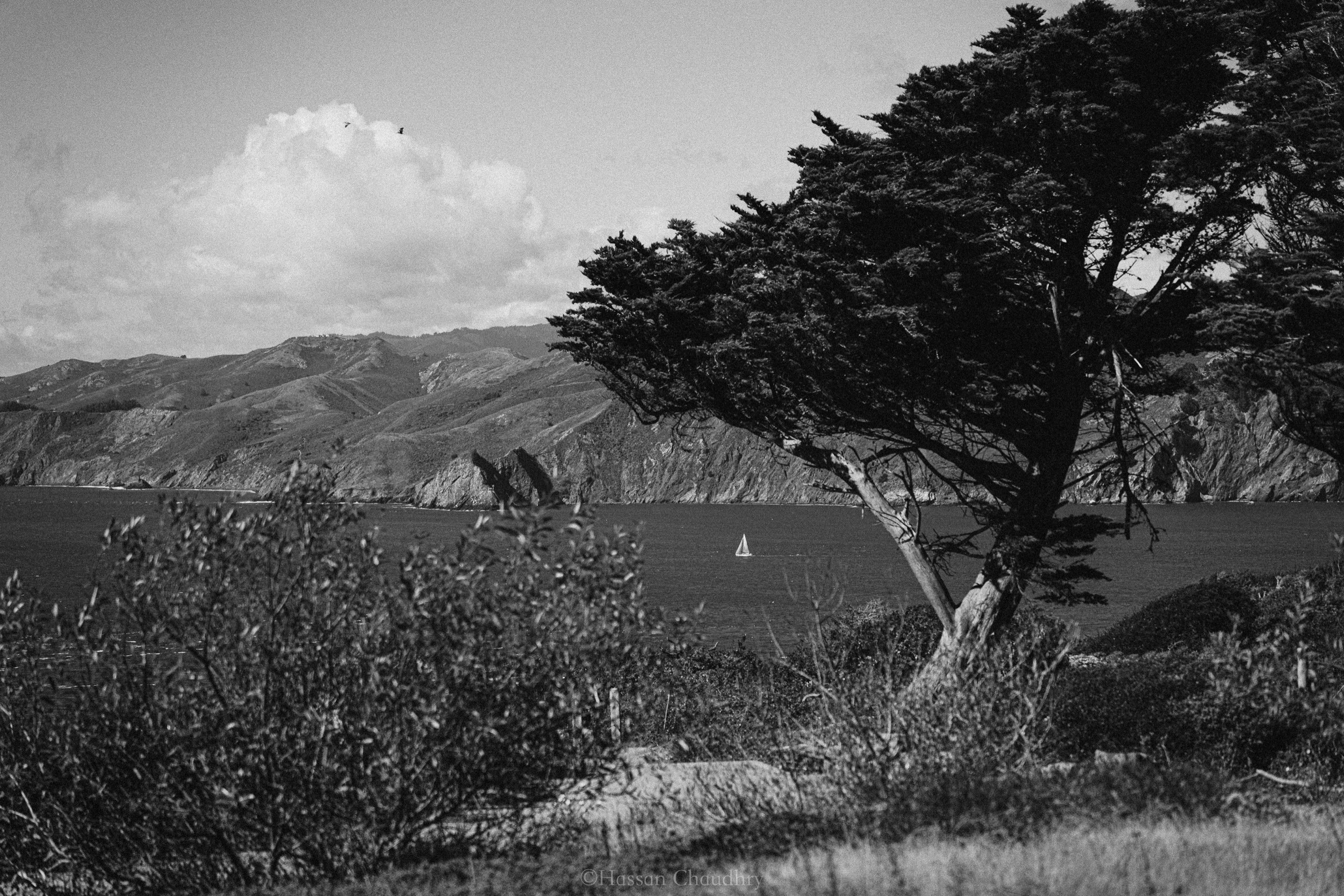 Landscapes — 10